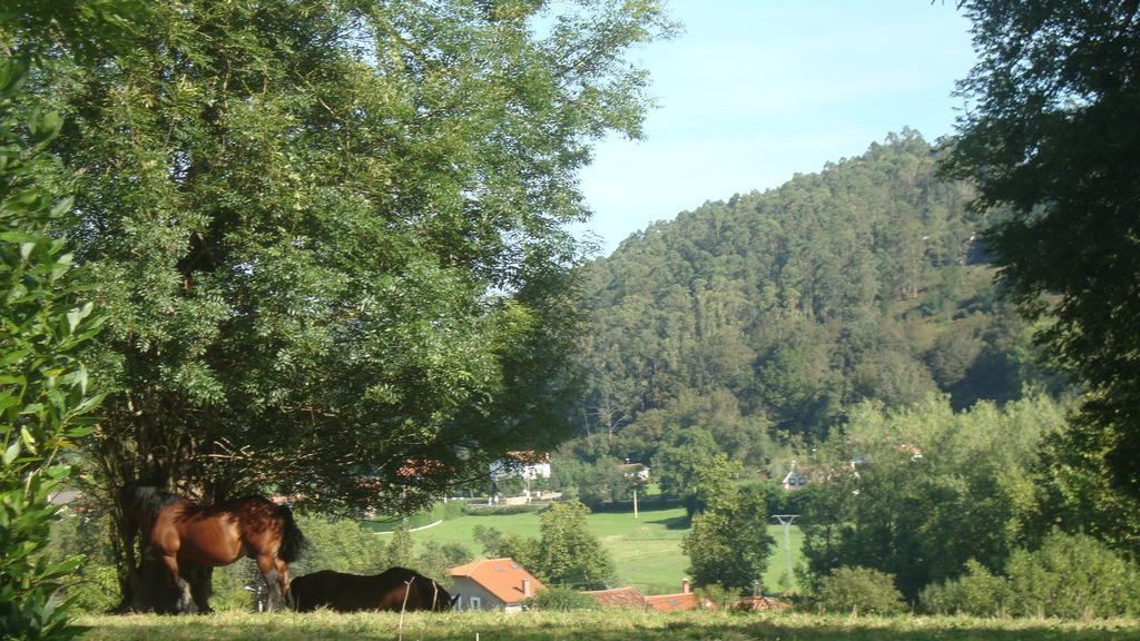 La Ventanita Del Campo Apartment